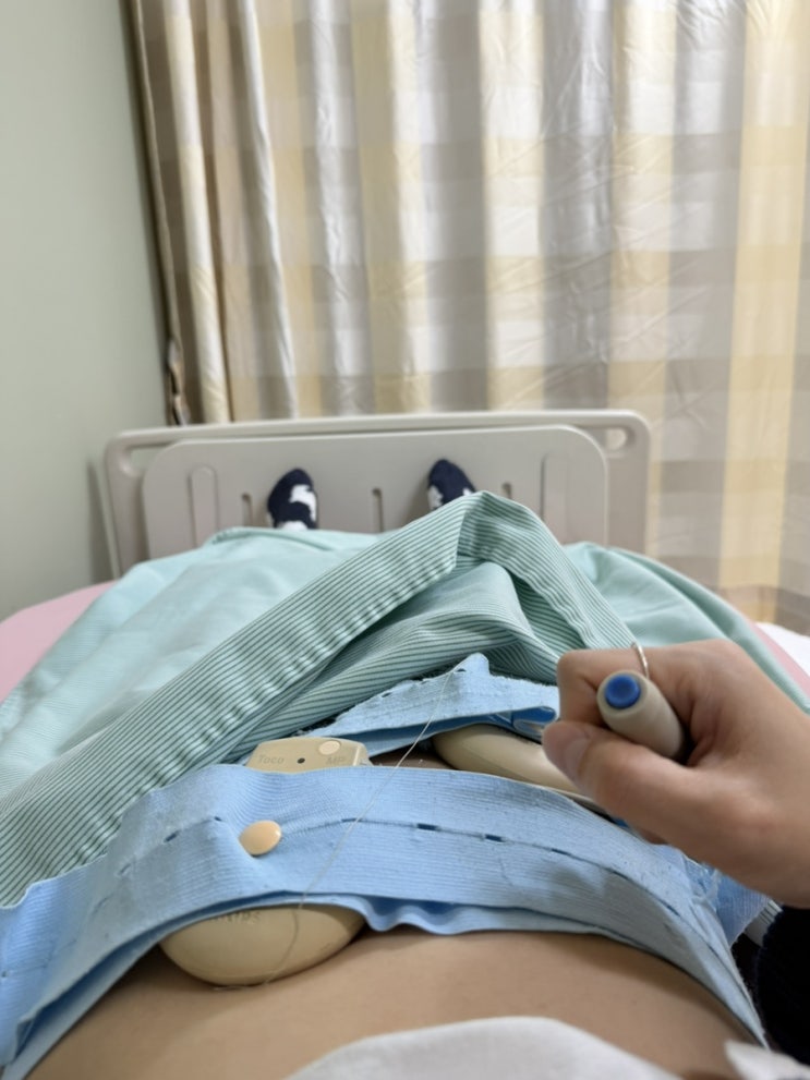  임신 30주 태동검사 초음파보고왔어요!
