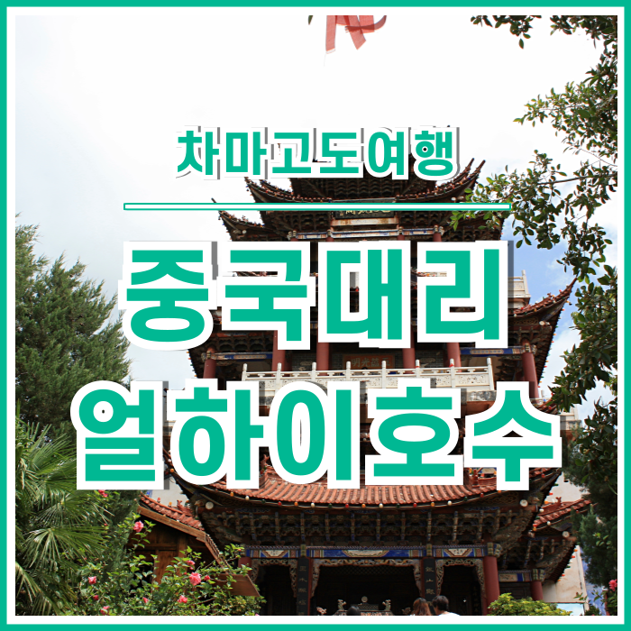  [차마고도] 중국 대리여행의 백미인 얼하이호수유람선과 천경각 : 여행의추억