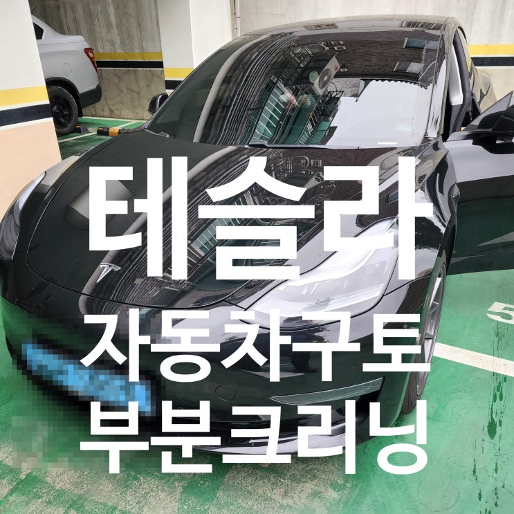 테슬라차량보조석시트구토오염제거작업후기