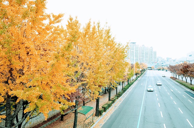  영등포구 찾아보기