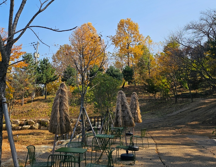  울산 대형카페 애견동반 키즈케어존 카페먹