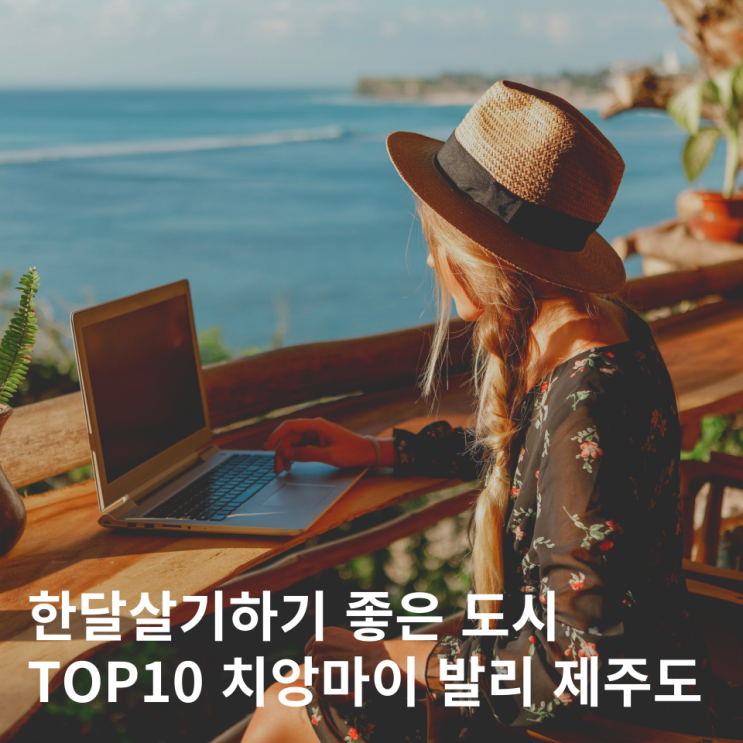  한달살기하기 좋은 도시 10곳 비용 총정리 디지털노마드 제주도 치앙마이 발리