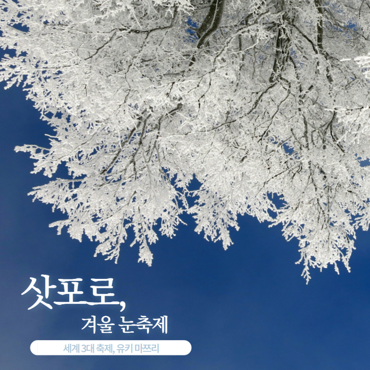  삿포로눈축제 포함된 일본패키지 + 삿포로 도야 핵심관광,온천호텔