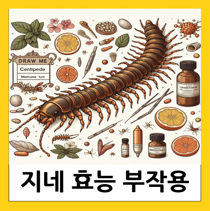 지네 효능 먹는 법 부작용