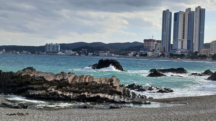  [해파랑길/22일차]경주 11코스 문무대왕릉 나아해변 버스 위치 시간 노선 타는법과 울산 입성 10코스 후기