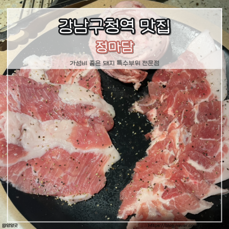  돼지 특수부위 잘하는 강남구청역 맛집 정마담에서 가성비좋은 한판후기