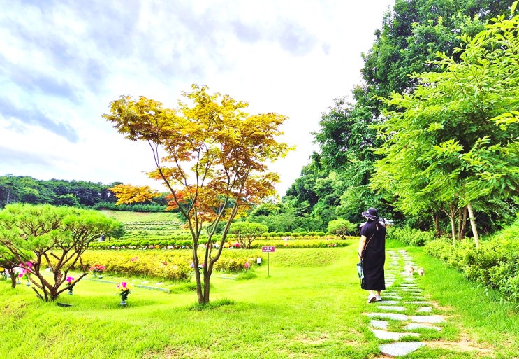  용인수목장 추모 환경 공간을 선택할 때에는