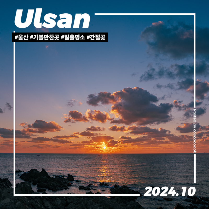 사진 5