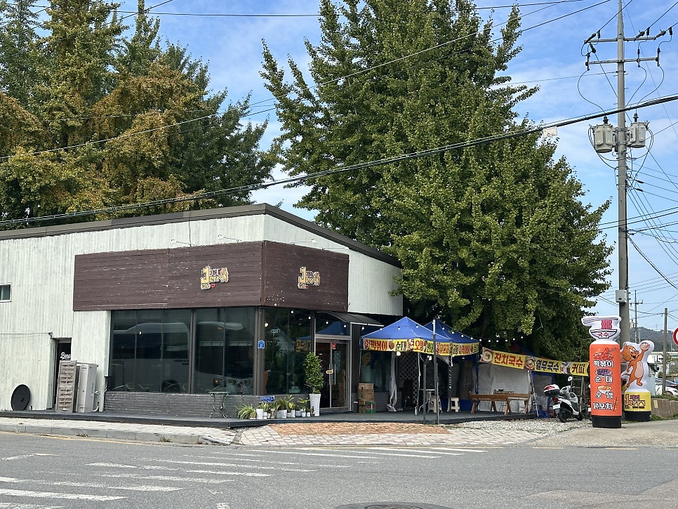 닐로 사진 1