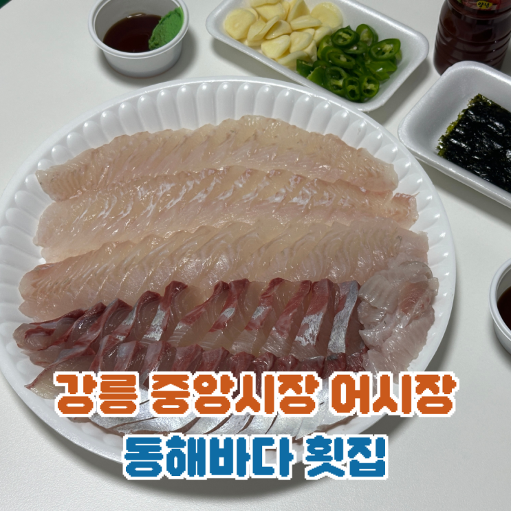  강릉 중앙시장 맛집 동해바다횟집 내돈내산 후기