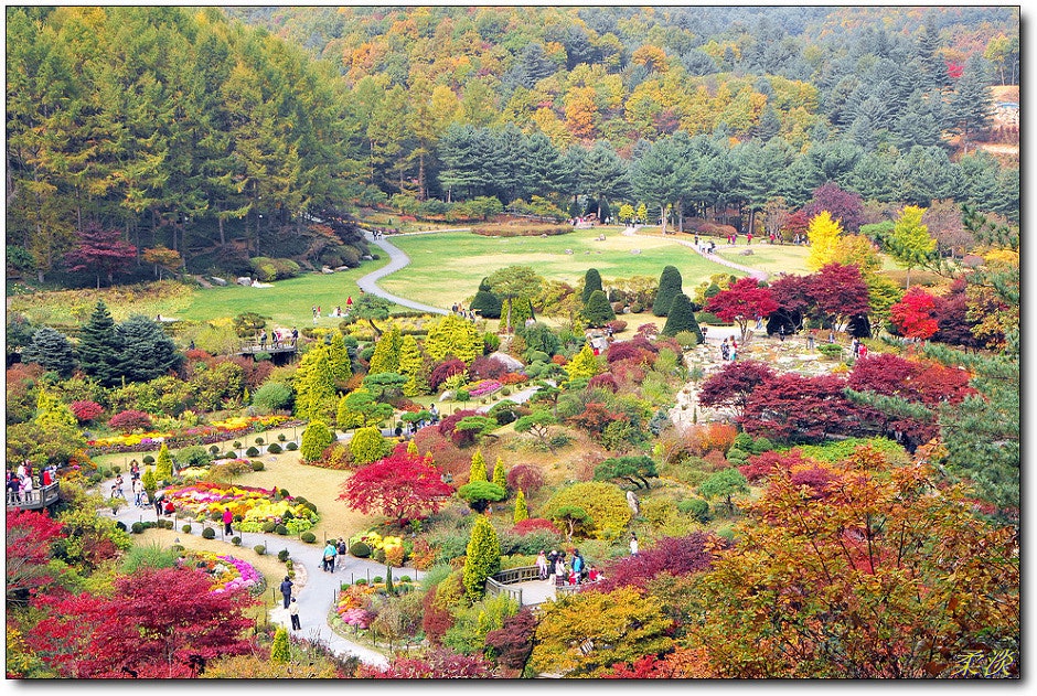 심원골 사진 3