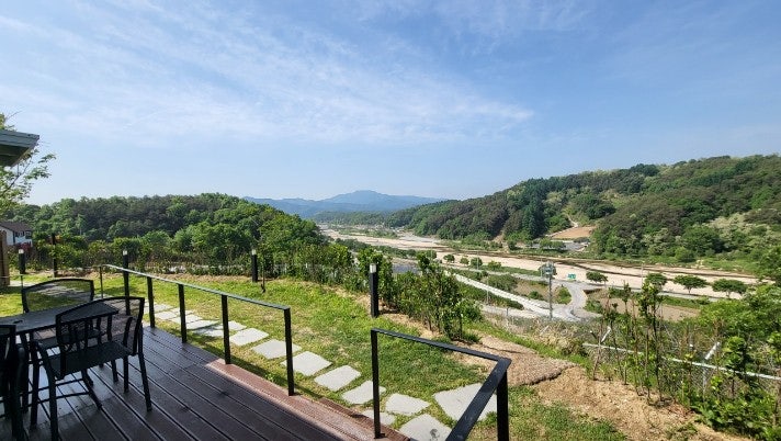 사진 2