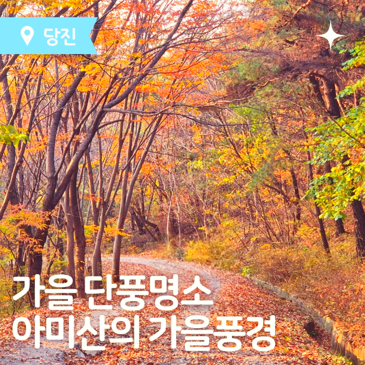  가을단풍명소 당진가볼만한 곳 아미산의 가을풍경