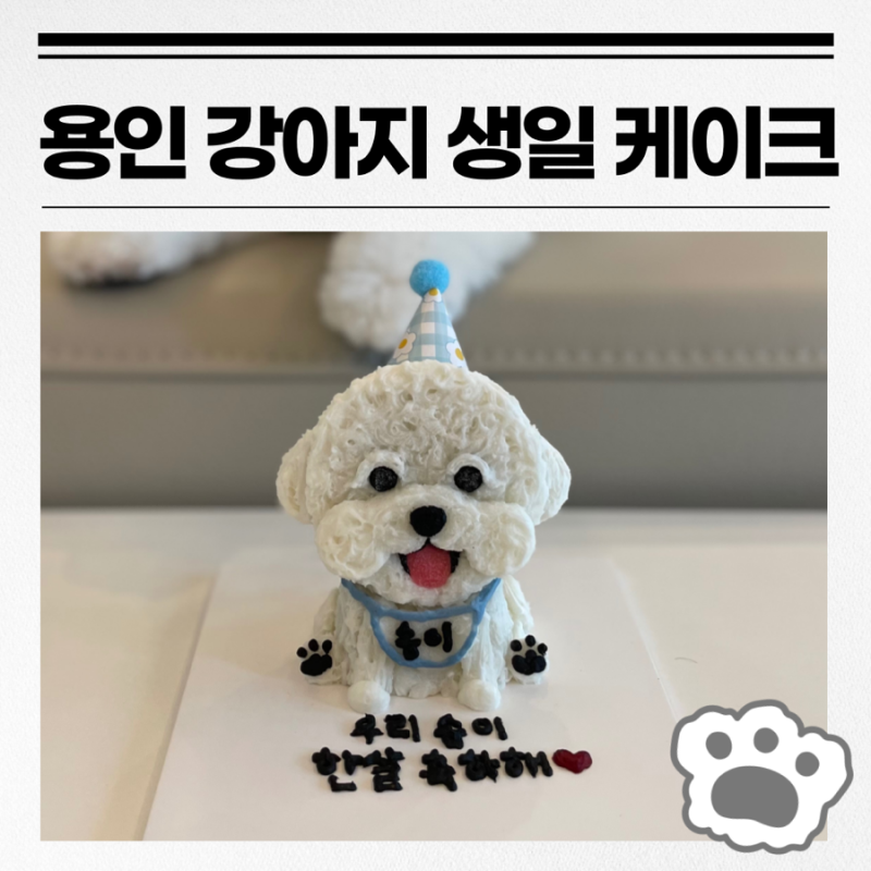 사진 3