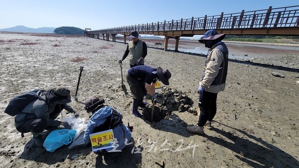  신안군 국제적 블루카본 도시로 도약…“갯벌 탄소저장 56조 원 가치 확인”