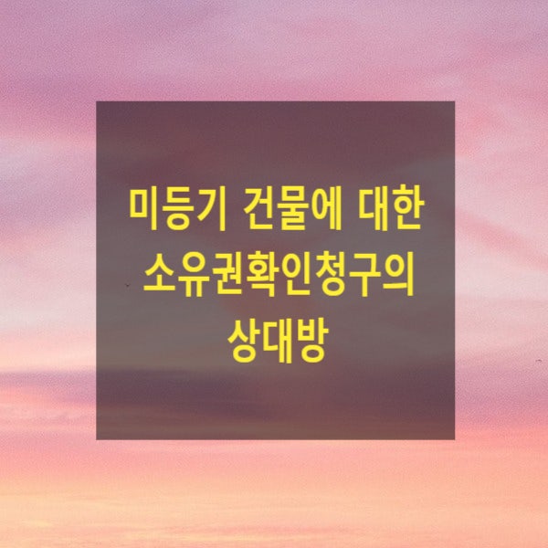  미등기 건물에 대한 소유권확인청구의 상대방(국가, 지방자치단체)