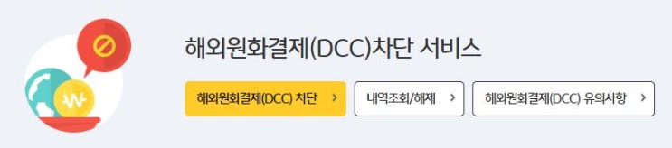 해외원화결제(DCC) 차단 서비스란? / 해외에서 신용카드 도난시 긴급 대체카드 발급방법 / 해외 결제도 할부가 될까?