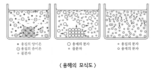 용액과 용해도