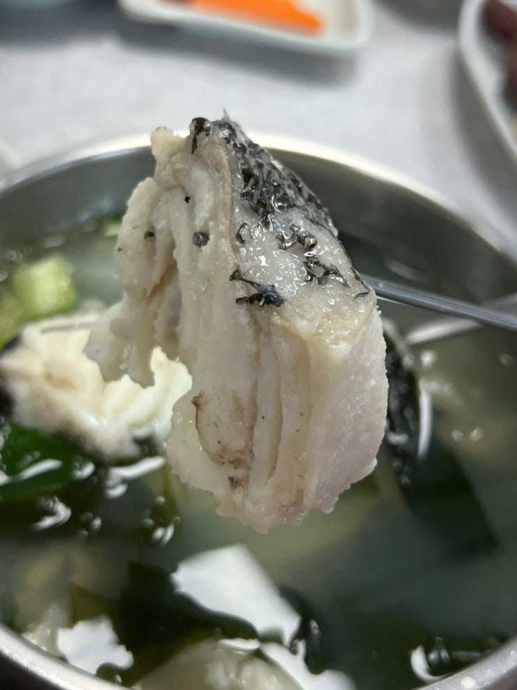  진해 대구탕 맛집 : 김해횟집(fea. 윤석열, 이재용)