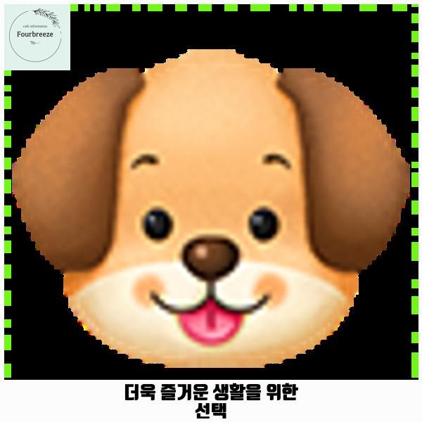 사진 2