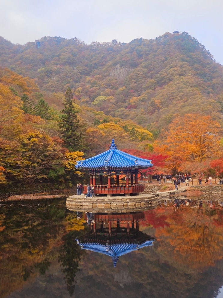  내장산 단풍 내장산국립공원 주차장 도보 소요시간