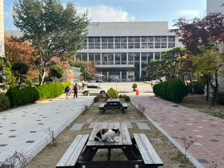  고려대학교 자연계캠퍼스 캠퍼스투어! 하나스퀘어, 정운오IT교양관, 공과대학 등 둘러보기