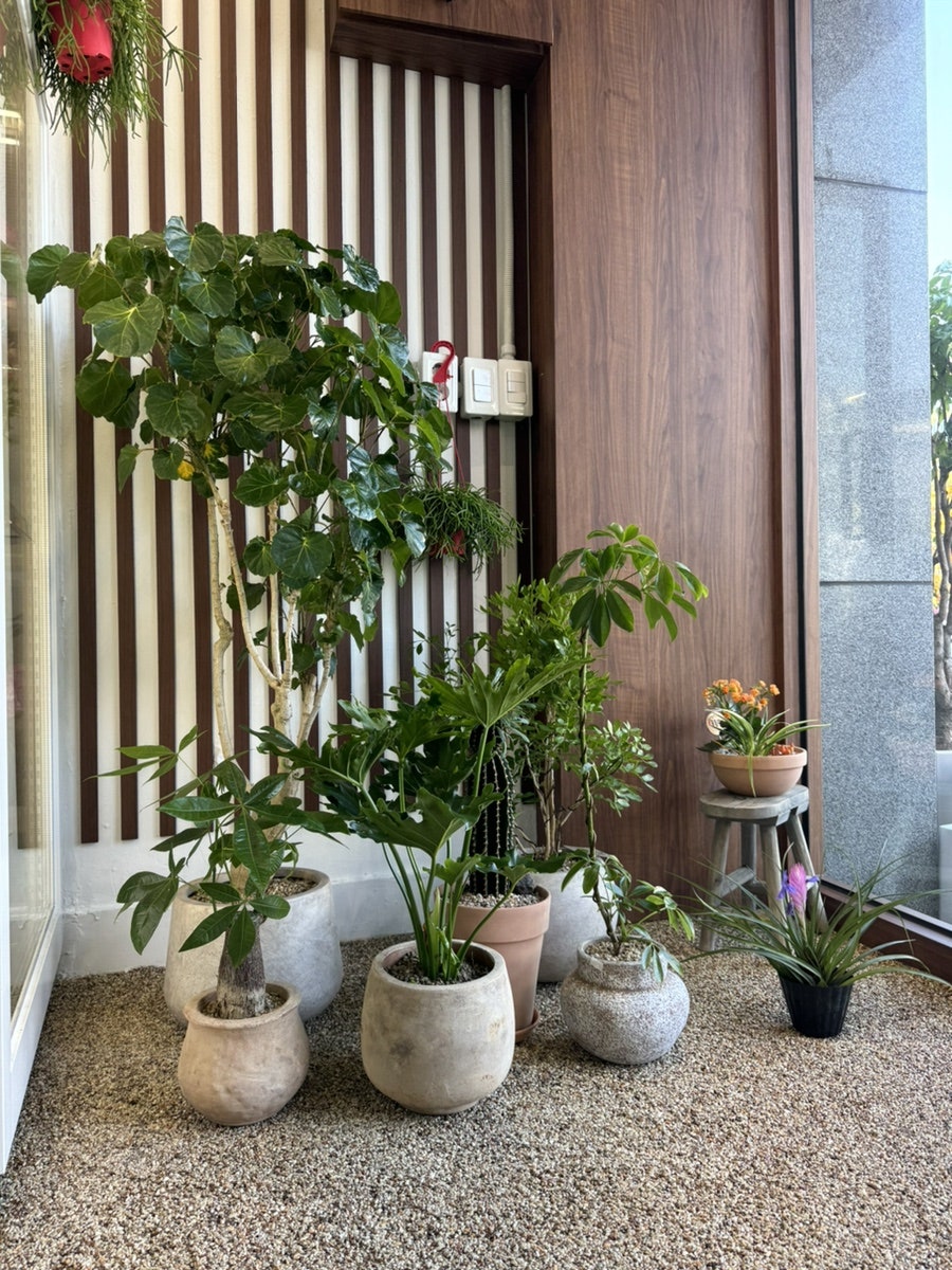 꽃화랑 사진 3
