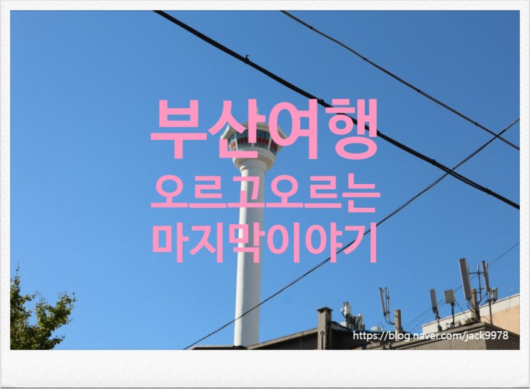  [부산여행] 40계단부터 168계단까지 계단과 함께한 마지막 여행