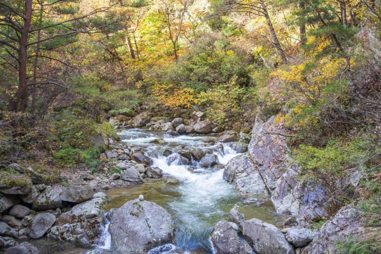  소백산 국립공원 단양 다리안 국민 관광지 계곡 단풍