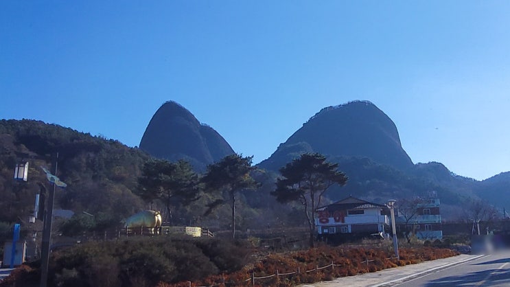  단풍놀이