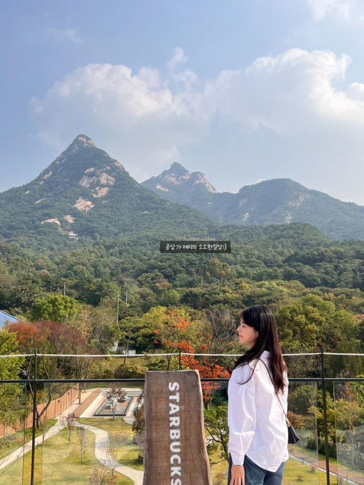  가을 단풍 예쁜 카페 서울 통창 뷰 카페 추천 : 스타벅스 더북한산점