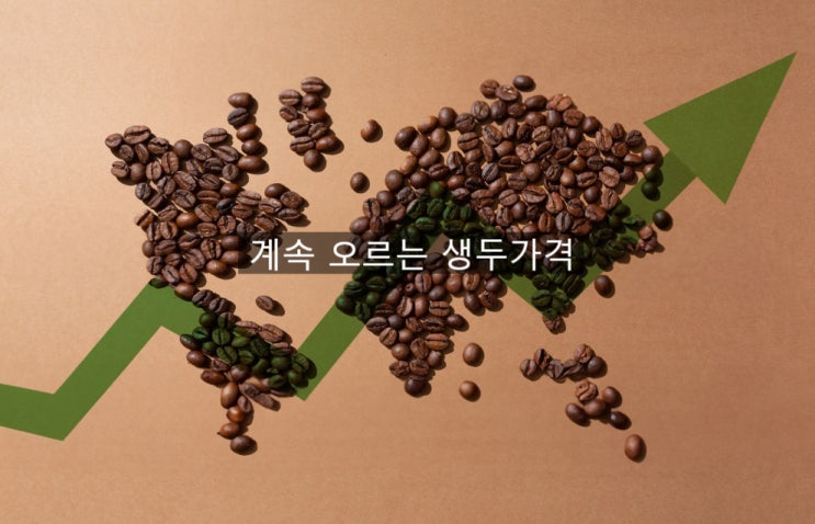  이전으로 돌아갈수 없는 생두가격 앞으로 계속 오른다 ?!
