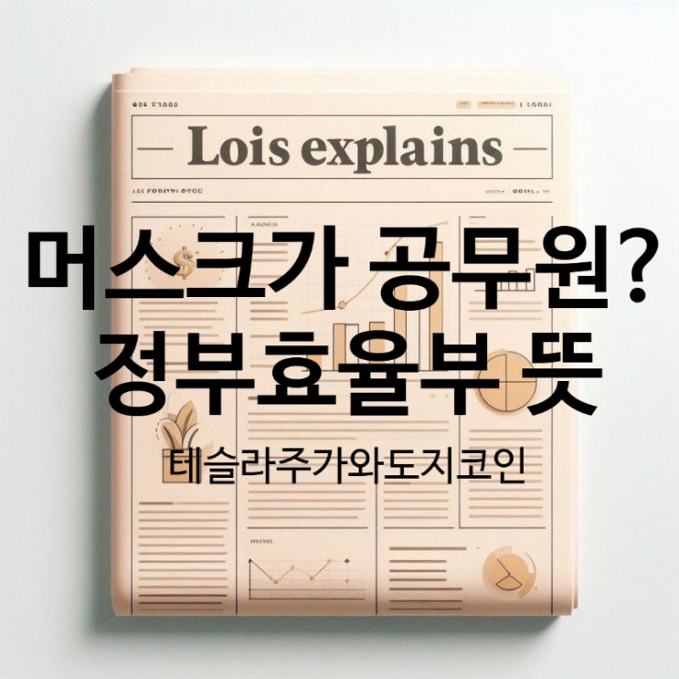 <b>머스크 공무원</b> 되나? 정부효율부 뜻과 테슬라에 투자하는... 