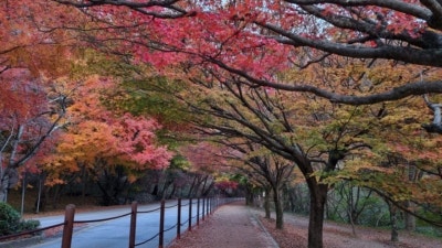 사진 5