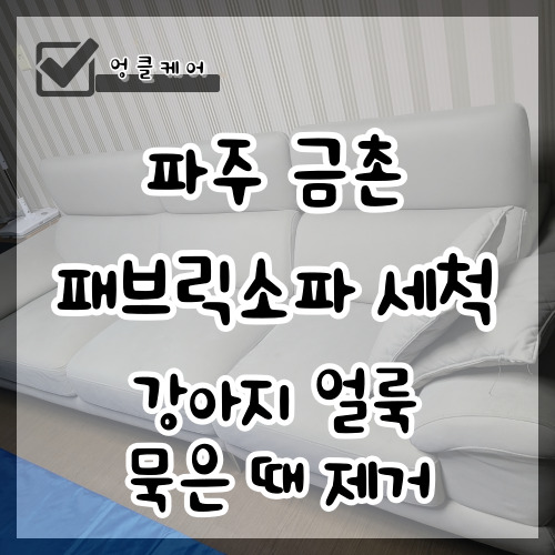  패브릭소파 세척 강아지 얼룩 생활 얼룩 묵은때 제거