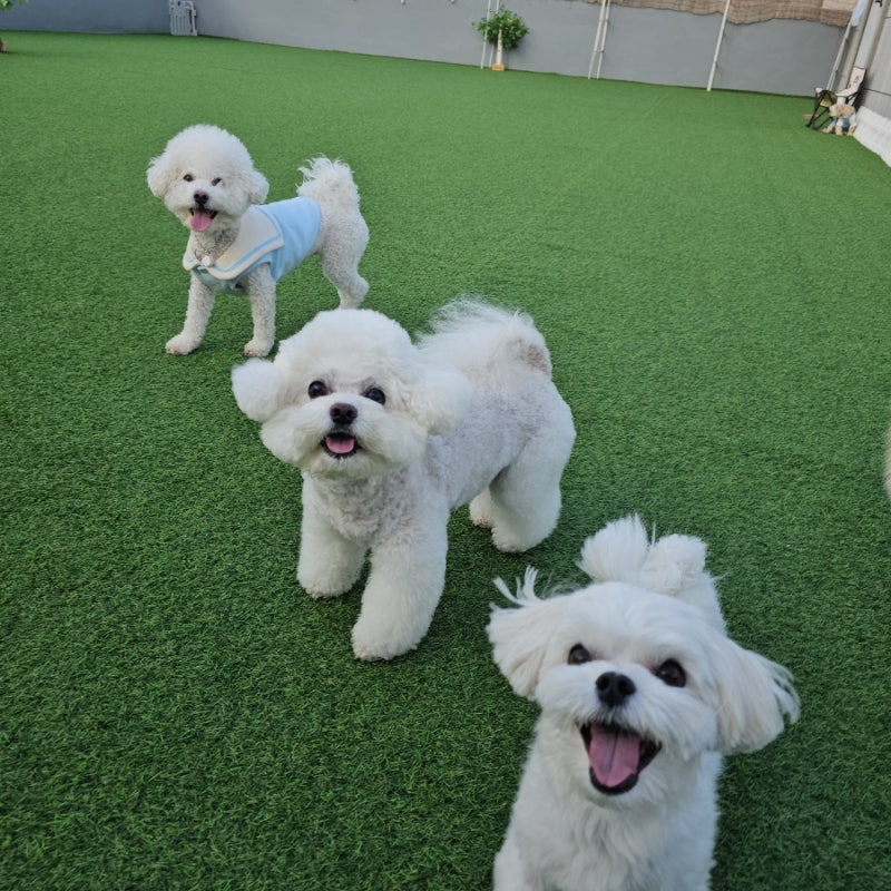 사진 5
