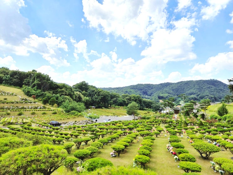  용인수목장 추모 환경 편안한 분위기 속에서