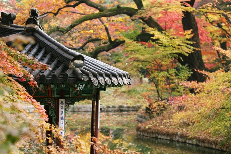  서울 단풍 명소 베스트 7 - 단풍 절정인 곳만 모았다!
