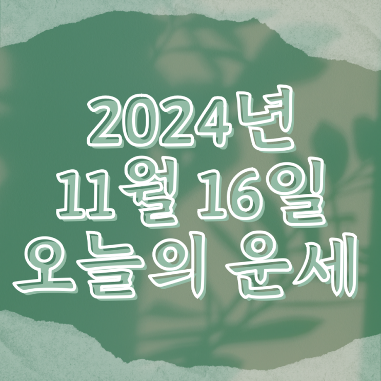  2024년 11월 16일 운세 오늘의운세 띠별운세