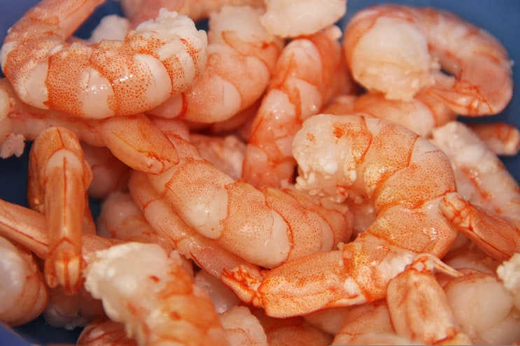 흰다리새우 100g 칼로리 영양성분 / 효능, 부작용 알아보기