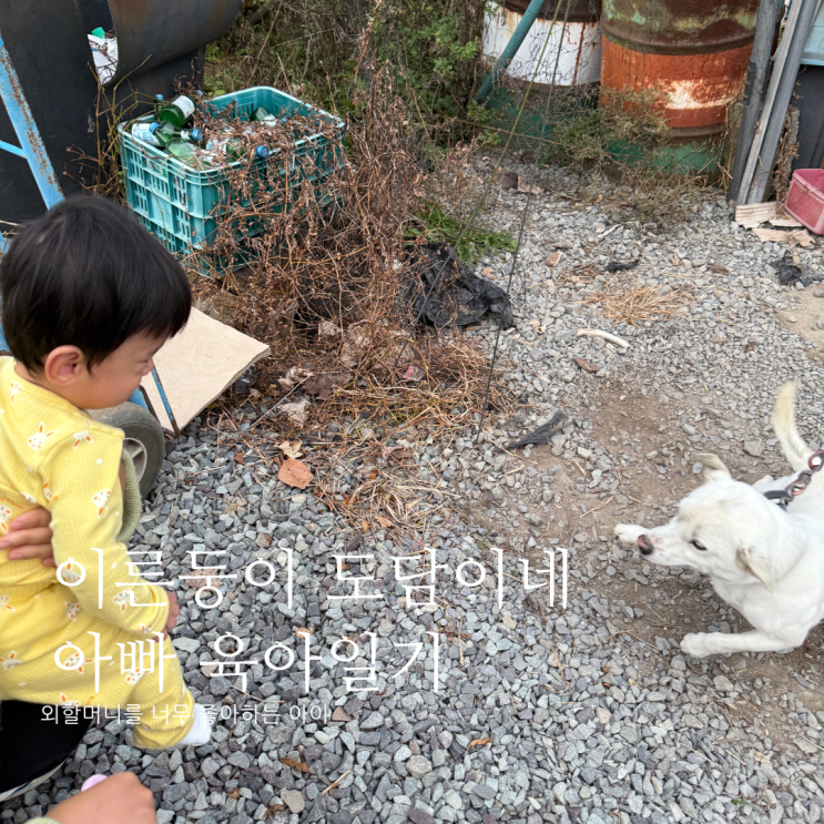 외할머니를 너무 좋아하는 아이D+381 외할머니를 너무 좋아하는 아이D+381