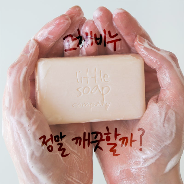  고체 비누, 정말 깨끗할까? 세균 민감족 vs. 세균 불감족의 끝없는 논쟁
