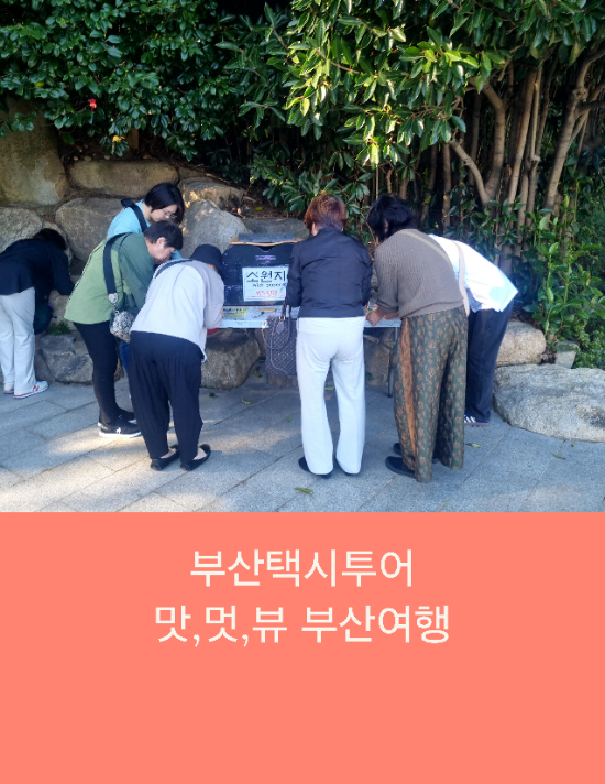  부산택시투어 일본인 맛,멋,뷰 부산여행