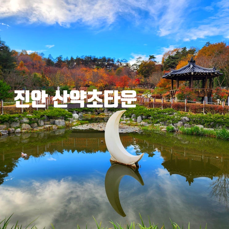 〔전북진안〕<솔이여행>진안 모래재 휴게소, 진안 메타세쿼이아 길-진안 산약초타운-진안의 가을