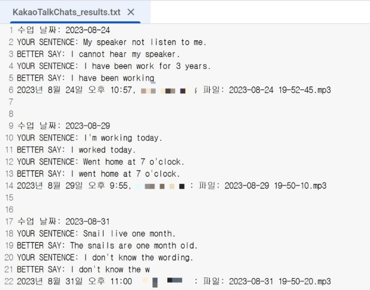  전화 영어 오잉톡 수업 피드백, 카카오톡 대화 채팅 내용 자동 정리하기, Grammar, 문법 결과만 얻기