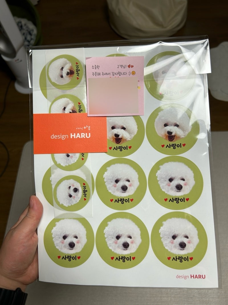 사진 5