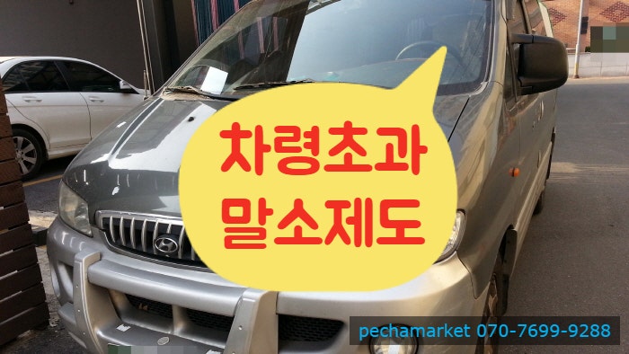  차령초과말소제도