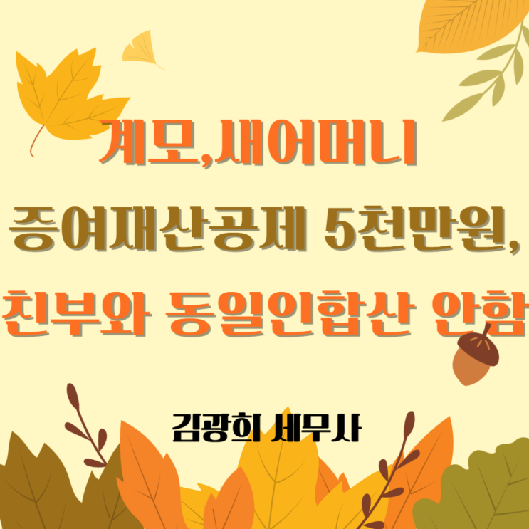  계모,새어머니 증여재산공제 5천만원,친부와 동일인합산 안함