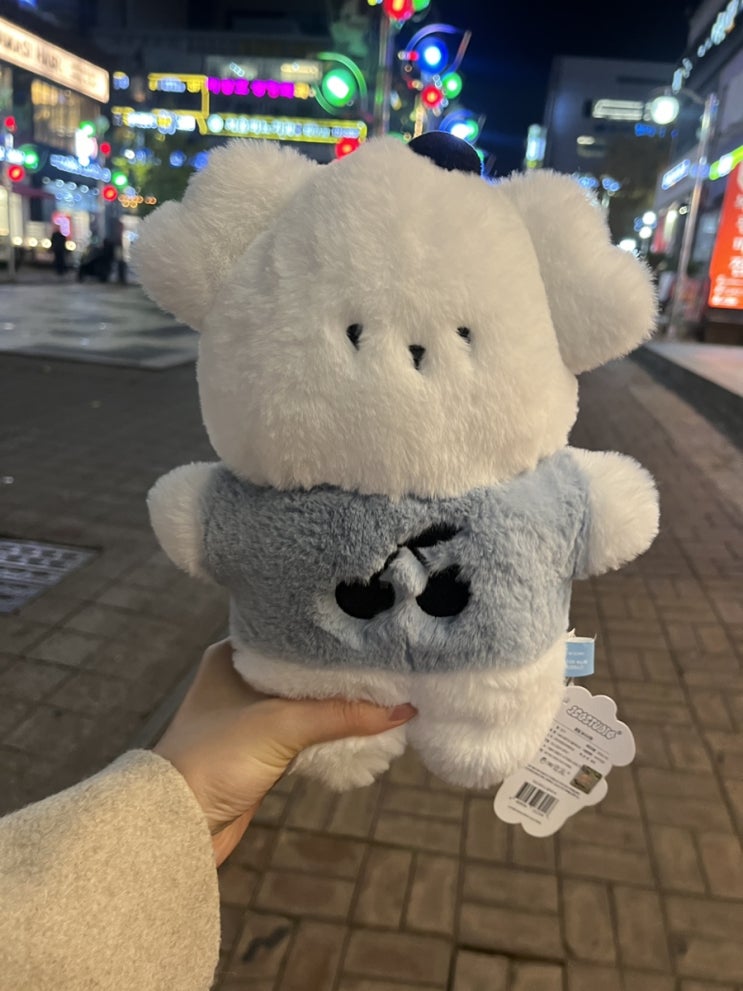  ISFJ의 일상 일기