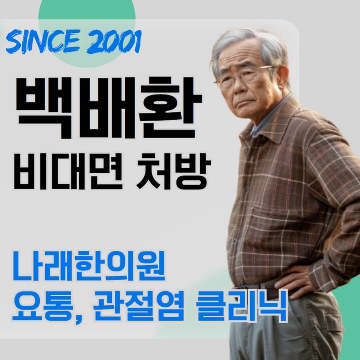  디스크 및 관절염 치료제 백배환 파는 곳